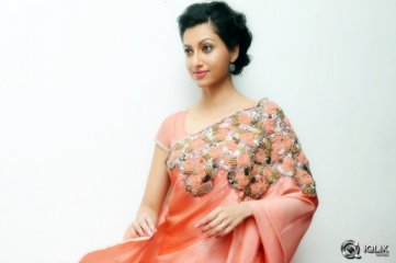 Hamsa-Nandini-at-Legend-Audio-Launch